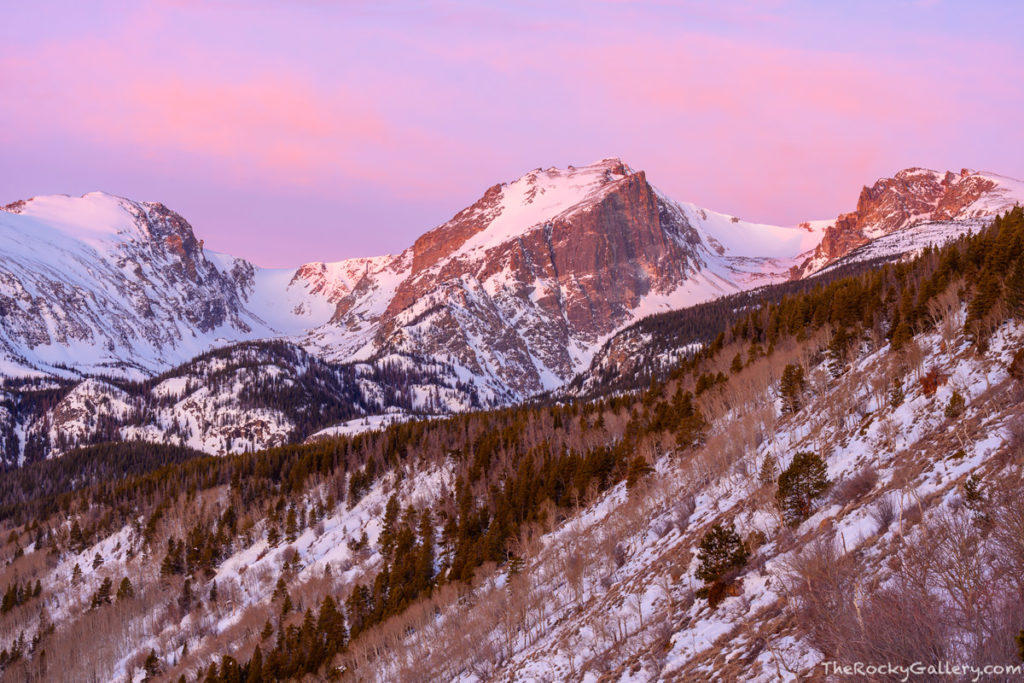 The Madness Of March | Thomas Mangan Photography Blog - The Rocky ...