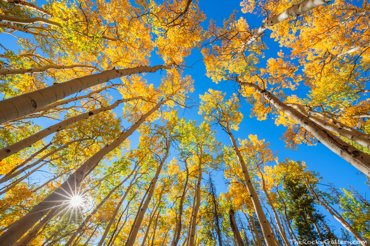 Daydream Sunshine | Rocky Mountain National Park, Colorado | Thomas ...