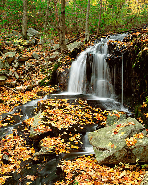 Harriman State Park - Tioratti Falls | Harriman State Park, NY | Thomas ...